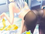 ミニミニファンディスク よりこりまくり for Win10